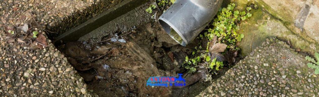 Blocked Drains Near You: Root Removal & Pipe Repair