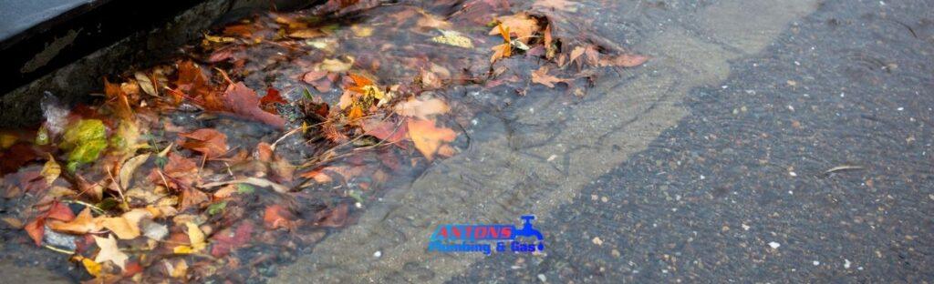 Stormwater Drain Service: Prevent Floods Before They Start