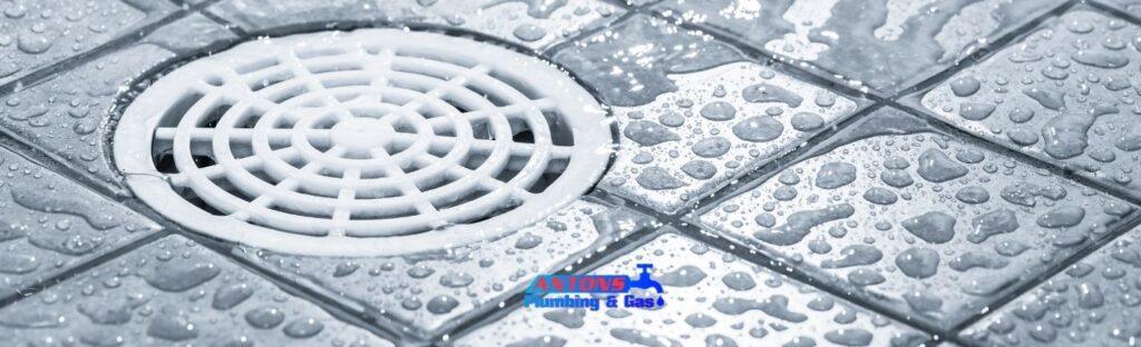 Why a Foul Smell from Your Shower Drain Signals Urgent Action