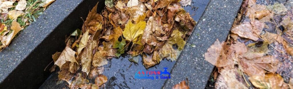 5 Common Signs You Have a Blocked Stormwater Drain