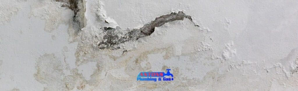 Why Is My Hose Bib Leaking from Wall? Causes and Repair Options